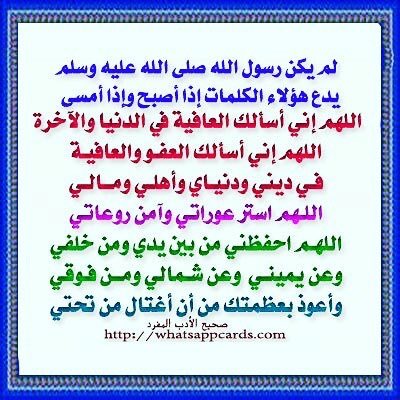 #احلا_كلام_بتغريده