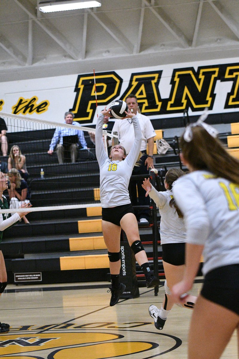 richbateman's tweet photo. I want to throw out a shout-out and spotlight to @NPHSGVB's Setter, #18, Nicole Geis. With sets so sweet, it's like she's living in a candy store!!! Thx for following me Nicole. @NPHSAthletic @NPPrincipal11 @NPpantherpit @TheAcornSports @vcspreps https://t.co/43sYZWolc6