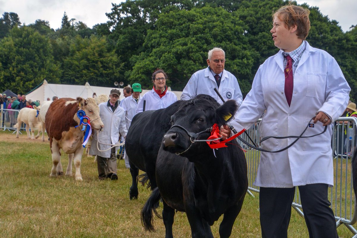 middevonshow's tweet photo. Cattle being paraded to the crowds
Pictures courtesy of @lewis_clarke88
#middevonshow #middevonshow2018 #cattle #livestock #parade #show #knightshayes #nationaltrust #tiverton #cullompton #crediton #middevon #devon #southwest #cow #bull https://t.co/H0T37NPDJY