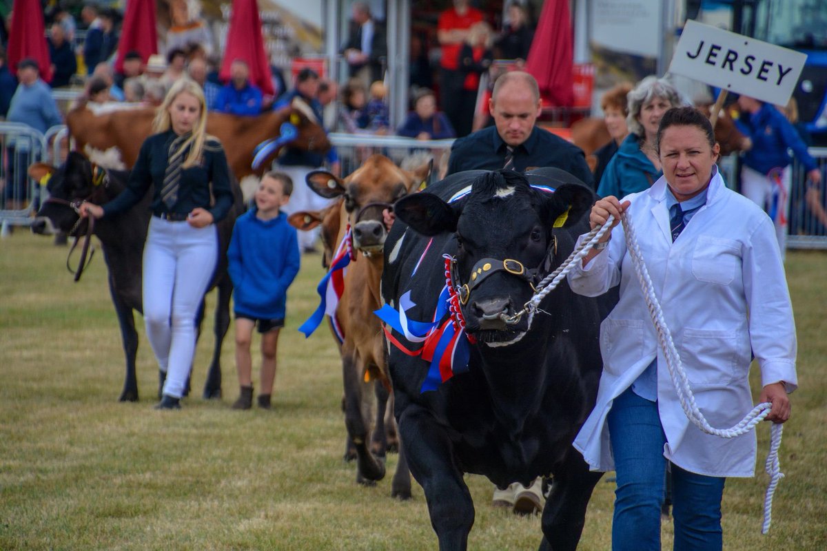 middevonshow's tweet photo. Cattle being paraded to the crowds
Pictures courtesy of @lewis_clarke88
#middevonshow #middevonshow2018 #cattle #livestock #parade #show #knightshayes #nationaltrust #tiverton #cullompton #crediton #middevon #devon #southwest #cow #bull https://t.co/H0T37NPDJY