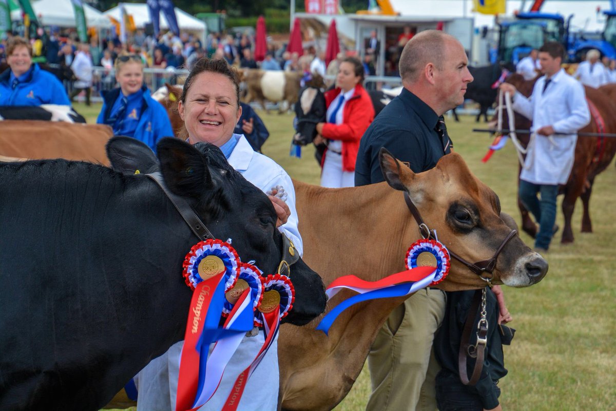 middevonshow's tweet photo. Cattle being paraded to the crowds
Pictures courtesy of @lewis_clarke88
#middevonshow #middevonshow2018 #cattle #livestock #parade #show #knightshayes #nationaltrust #tiverton #cullompton #crediton #middevon #devon #southwest #cow #bull https://t.co/H0T37NPDJY