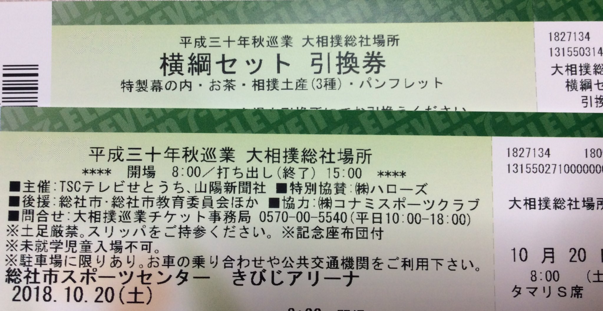 秋巡業大相撲総社場所