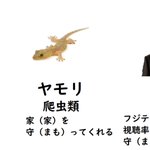この違いご存知ですかwイモリ、ヤモリ。からの、○モリw斬新な並べ方ですw