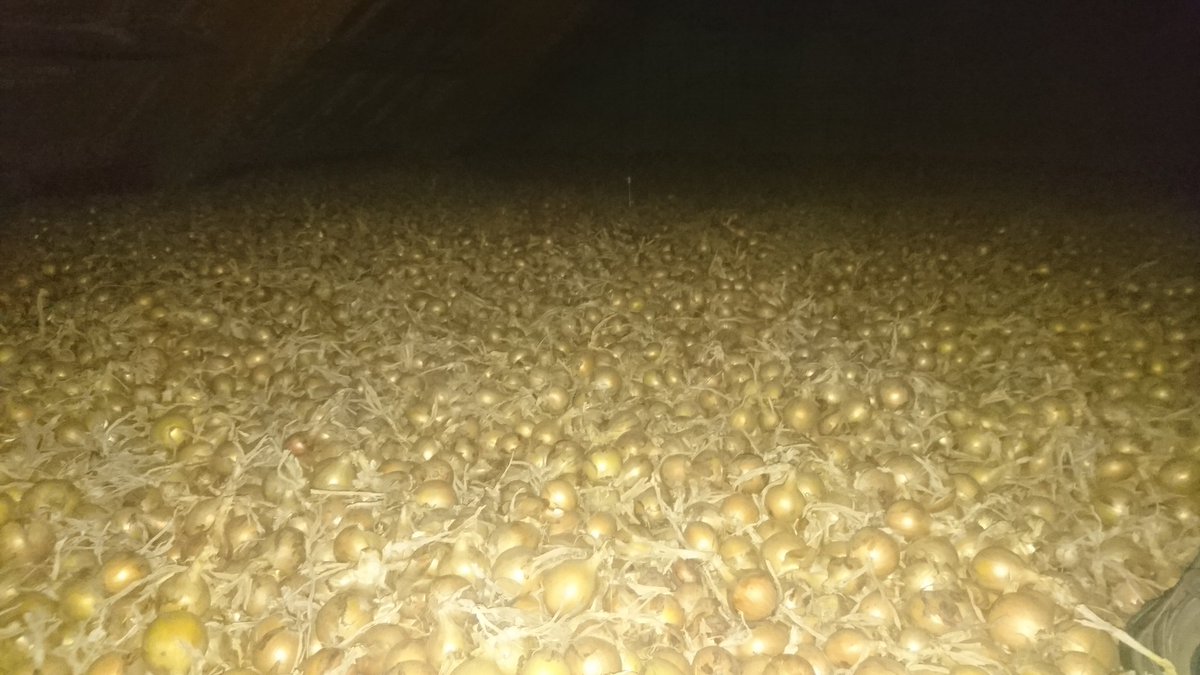 cajschouten's tweet image. Zeldzaam mooi product, gisteren binnen gekregen ##Hyfive