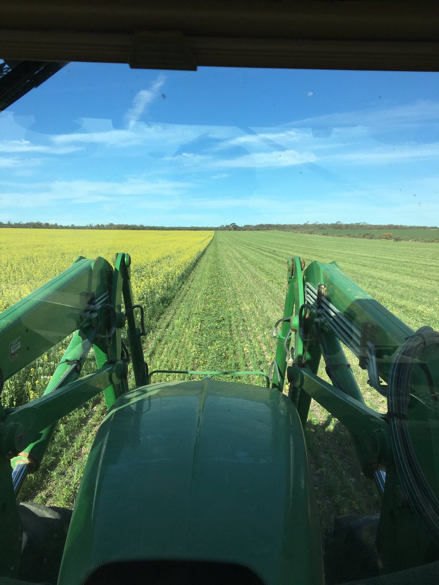 Owen Hayes Thompson (granitecocky) Twitter