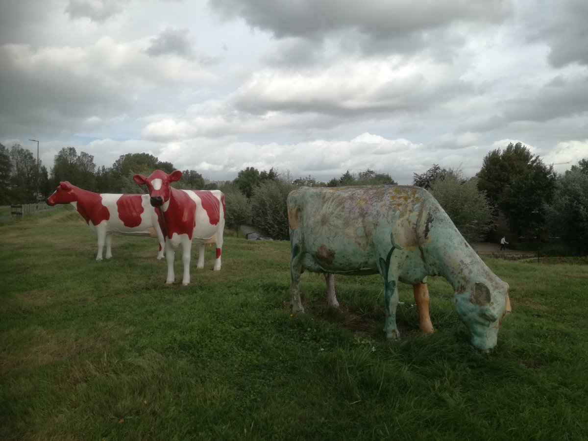 Gerrit van Dijk tweet media