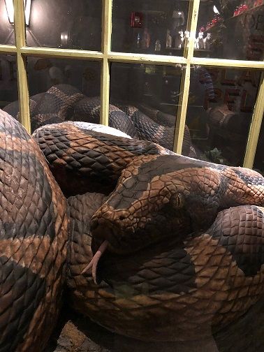 Would you want to visit this big guy at the #MagicalMenagerie? What #magicalcreature would you like to take home? #CareOfMagicalCreatures #FantasticBeasts #DiagonAlley