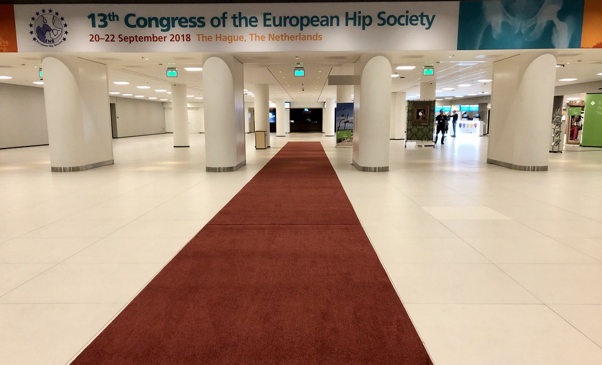 A great honor to be part of the faculty panel of #EHSCongress #TheHaague update knowledge #hiparthroplasty & #hipreserving #surgery @EFORTnet @SICOTortho @seccadera @soycot @aeartroscopia @esska