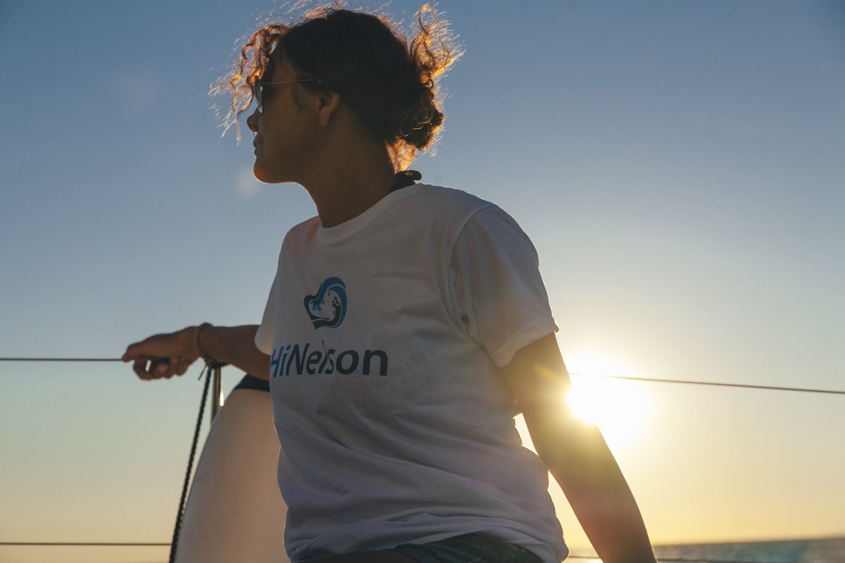HiNelson.com tweet media