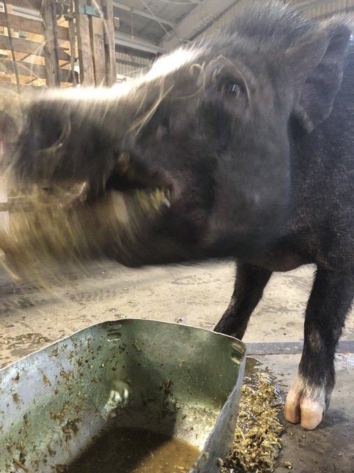 躍動感 高画質 のtwitterイラスト検索結果 古い順