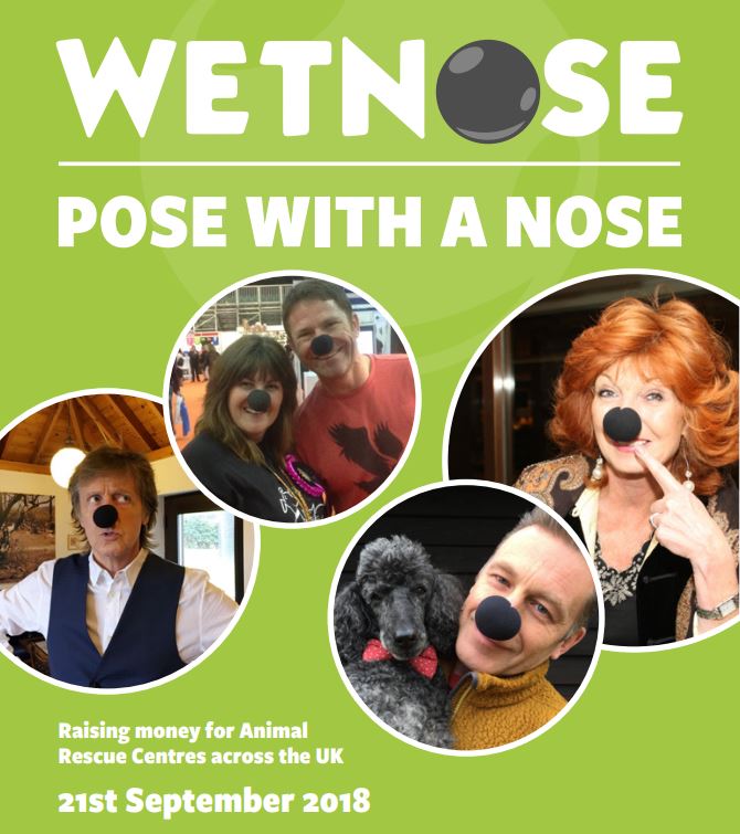 Animed_UK's tweet photo. Along with @FrontlinePetUK we are supporting @WetnoseDay today - are you? Did you buy a nose? Show us your pose! https://t.co/9xsaWfUgAz #FridayFeeling #DogsofTwitter #CatsOfTwitter #animalrescue #cats #dogs# https://t.co/1N8RqheNpK
