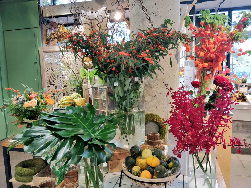 Truffaut On Twitter Et Noubliez Pas De Vous Faire Un Joli