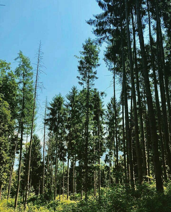 andreacave96's tweet photo. "Ogni pittore segue il proprio metodo, mentre ciò che li accomuna è un'assoluta dedizione alla natura" #remember https://t.co/Avj7ykX60q