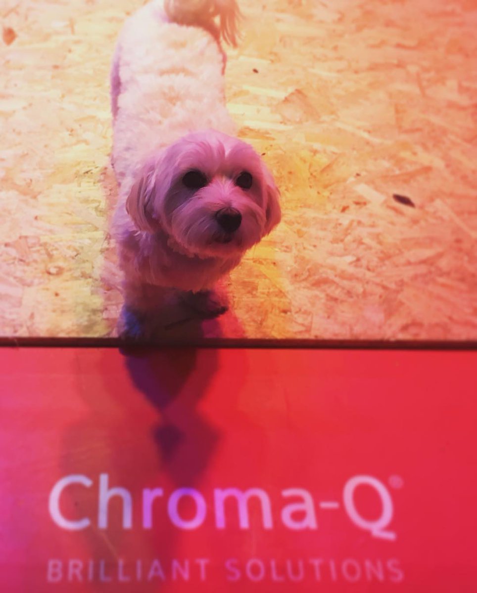We had a very special visitor to the <a href="/chromaqlighting/">Chroma-Q</a> stand at @darc_room, we'd love to see your pictures from the show!

#darcroom18 #lightingdesign 

See this Instagram photo by @paws4prince instagram.com/p/Bn9Un3kHDaf/…