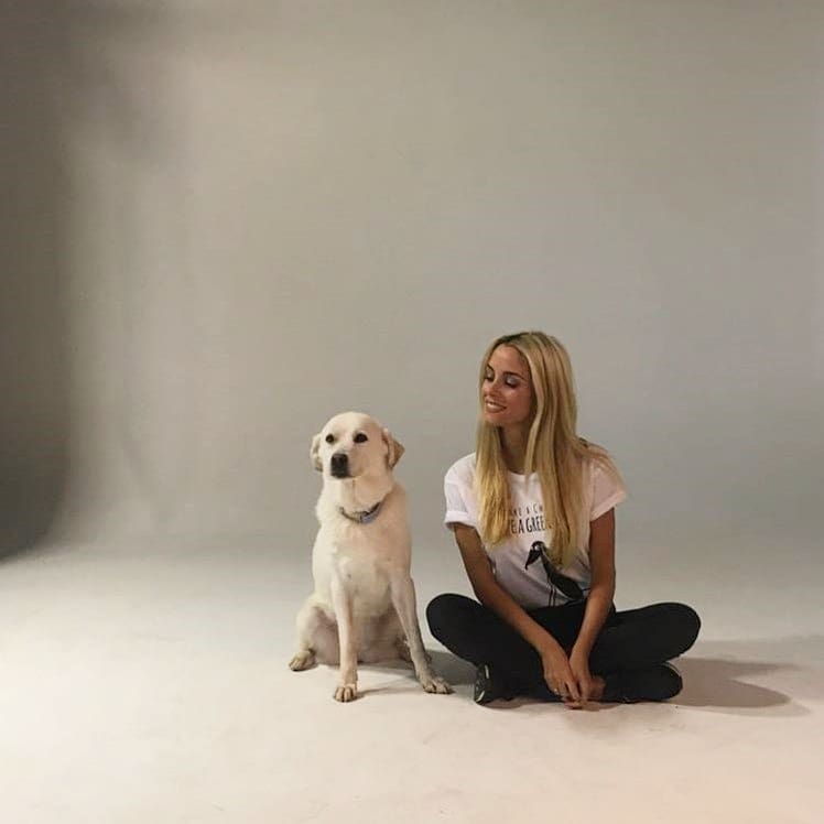 SaveaGreekStray's tweet photo. It's been a year since this beautiful Photoshoot🐾💕
Your support means everything to us!

#Thankyou!♥️🙏
#dogsarethebest #dogsarelife #saveagreekstray #adoptdontshop #rescuedog #doglovers #photoshoot

@mairiboo @Demy_Official @dutchesss_ https://t.co/bru0Ri3fng