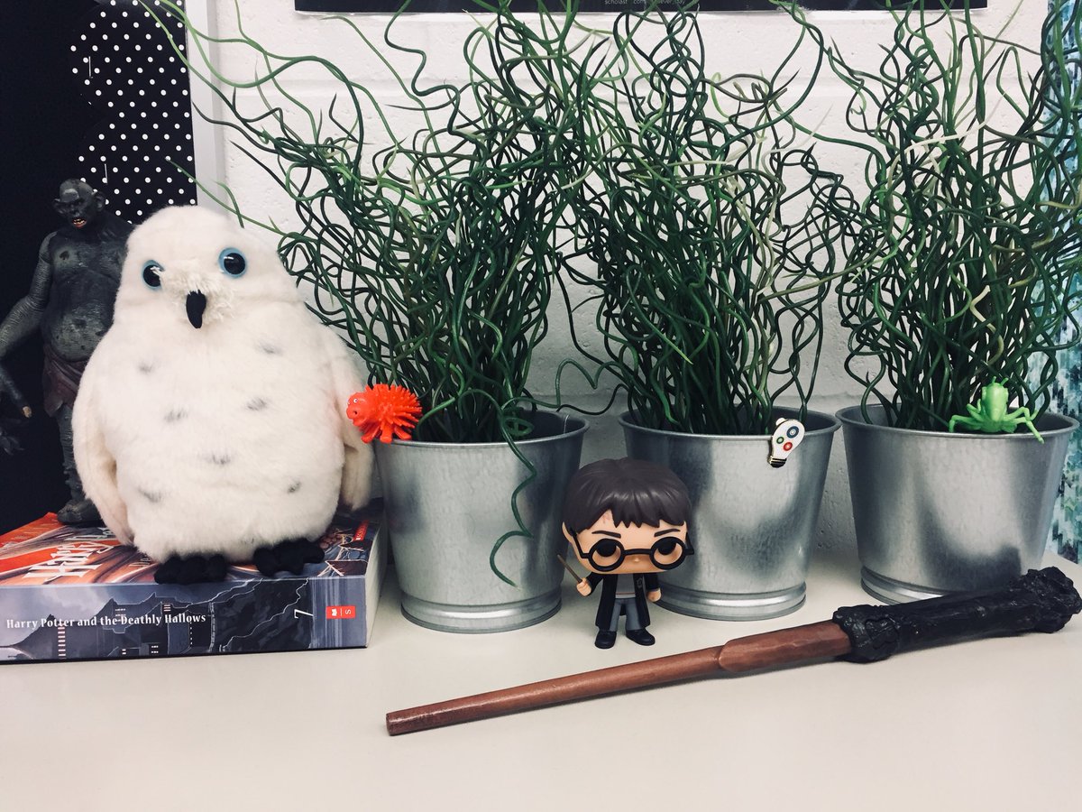 MrsSpencerKM's tweet photo. This student #MadeMyFriday by bringing in a Harry Potter wand &amp; troll for our classroom collection. YES! ⚡️ #HP4Ever #AccioBooks #KindKoMet @KMElem https://t.co/8MBGgqoPxH