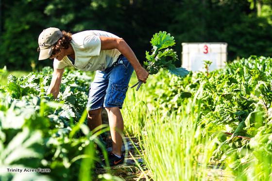 Purdue Extension is offering produce food safety training sessions at locations throughout Indiana to aid farms and growers in learning the basics of food safety and assist in establishing safety programs for their operations. Learn more at
ow.ly/98yo30lUS0d