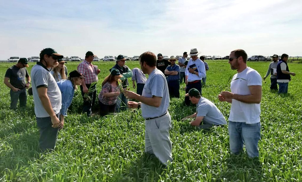 SummitAgroAr's tweet photo. Hoy festejamos la primavera en Nogoyá, Entre Ríos presentando #RaceRM y haciendo recorrida de campo junto a Norma Formento. https://t.co/unV1RMfIoq
