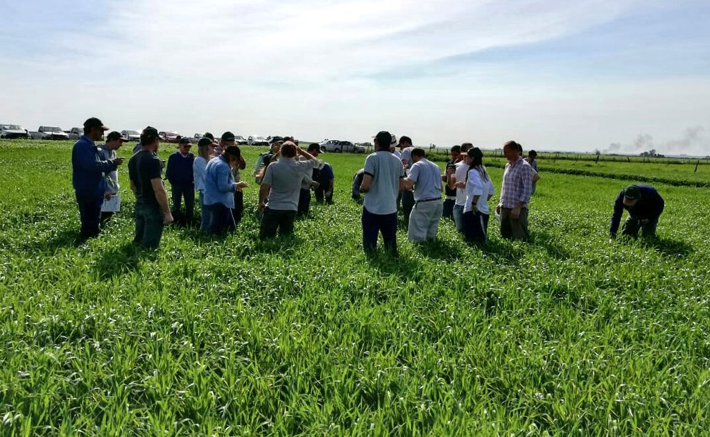 SummitAgroAr's tweet photo. Hoy festejamos la primavera en Nogoyá, Entre Ríos presentando #RaceRM y haciendo recorrida de campo junto a Norma Formento. https://t.co/unV1RMfIoq