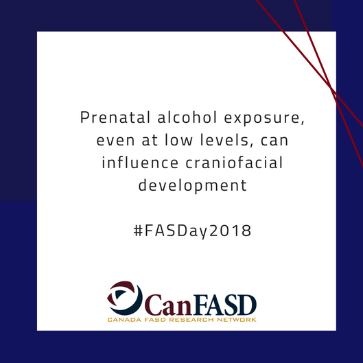 CanFASD's tweet photo. #FASDay2018 Fact #20: Prenatal alcohol exposure, even at low levels, can influence craniofacial development
For more information: https://t.co/X7xUfcCQmC https://t.co/aVJr5AF6Ae