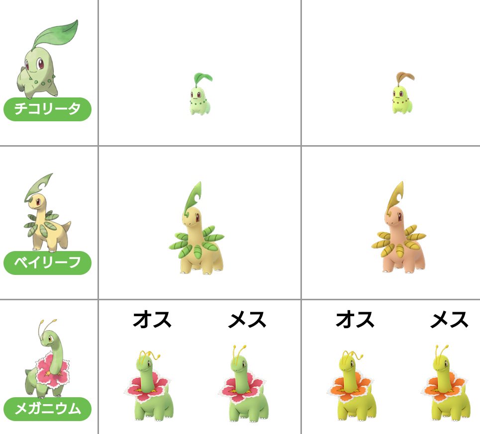 イラカ 月月火水木金金労働 さぁ 明日は チコリータ イベントですよ 頑張りましょう こんな感じになるやら楽しみです ポケモンgo色違い