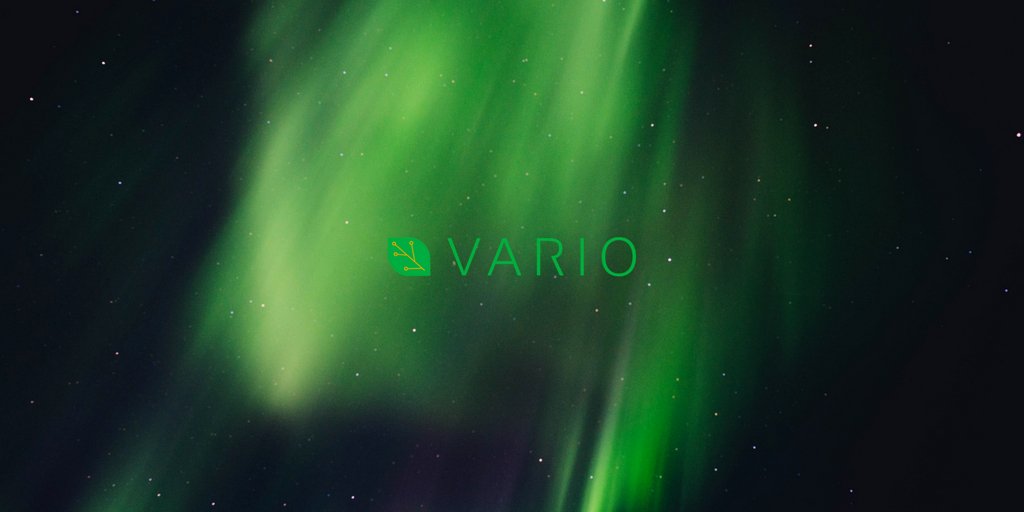 VarioMining's tweet photo. The #blockchain is a relatively secure digital ledger of economic transactions that can be programmed to record not just financial transactions but virtually everything of value. #VARIO #DigitalCurrenciesForAll https://t.co/2SanToLicq