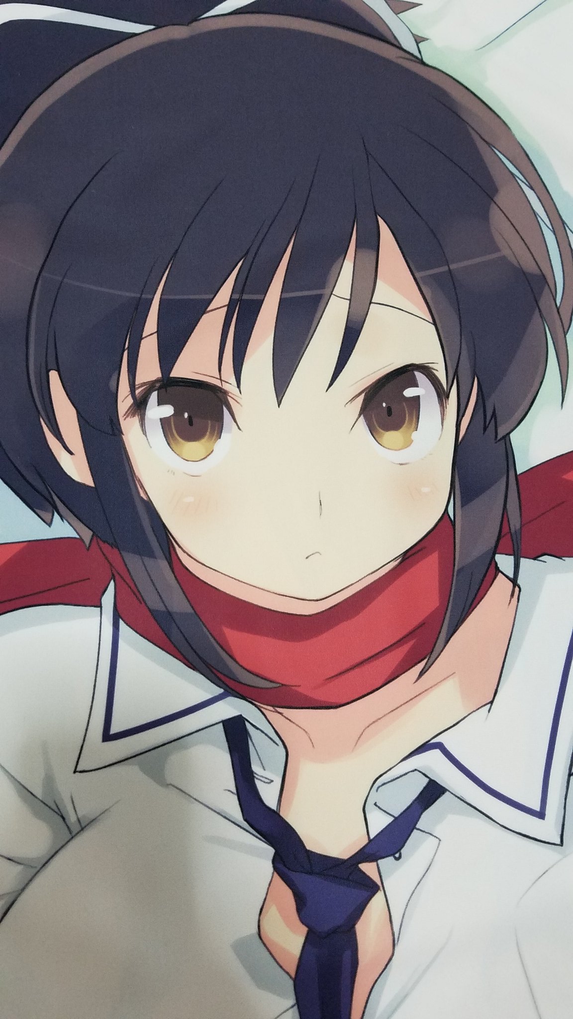 大久保マコト No 60 小田切双葉 三者三葉 アニメ面白かったですね 抱き枕のイラストもおおむね良好ですが 表情はもうちょっと双葉ちゃんらしさがあるものにしてほしかった気がします T Co Tuvrwcvva5 Twitter