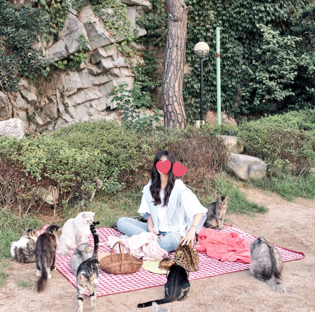 catlover_garden's tweet photo. 행복한 연휴 보내시고 풍성한 한가위 되세요 🌕
추석연휴에도 고양이정원과 함께해요💕 https://t.co/itr1zsuOrM