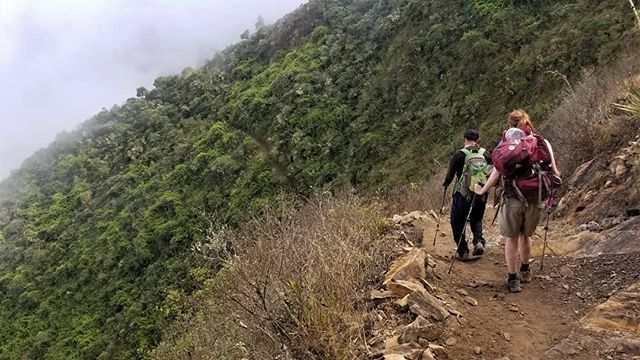 RoarLoudTravel's tweet photo. Heading into the weekend! Are you ready?
👉 Our story of day 2 on the Choquequirao Trek is live today, we saw our first ruins on this day!
.
.
.
.
.
#AdventureTravel #FridayFeeling #Peru #LlamaPath #ChoquequiraoTrek #hikingadventures #discoverSouthAm… https://t.co/vxgZZRuIVR https://t.co/RopHgJZI2w