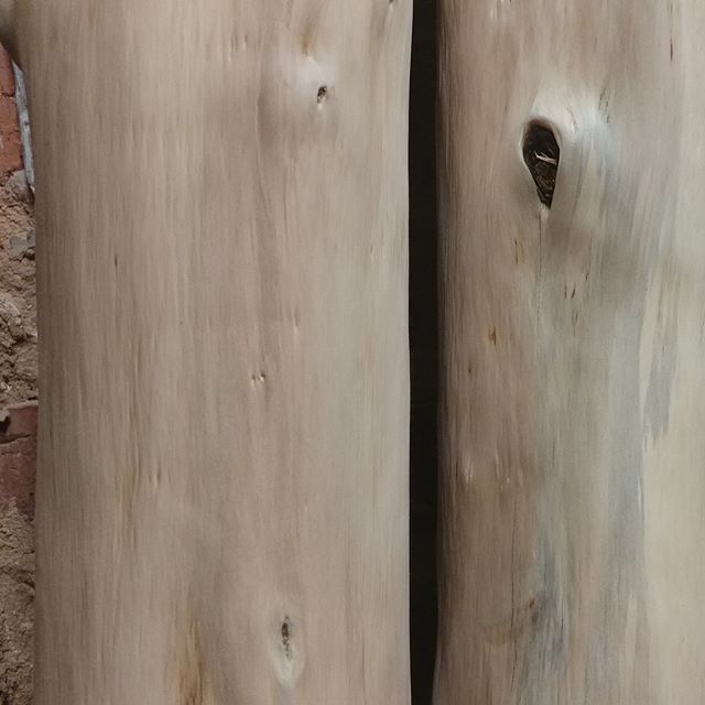 jasonrobertfox's tweet photo. YEW wouldn't believe it! Got all the bark off, kerfed and wedged to dry cleanly. Not sure what I'll do with these other than sample joints. Maybe a mini tokonoma?#yew #naturallogs #logbuilding #carpentry #woodworking #wood #japanesecarpentry https://t.co/cqfxe0tkEz