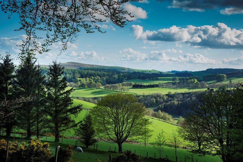 Experience breathtaking views, fascinating heritage and the great outdoors with a Weekend in the Angus Glens. Enjoy the Glen Clova Cycle Route, wildlife spotting in Glen Doll, walking round Backwater Dam and much more on this action packed weekend. bit.ly/2O2D7wX