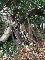 Richard Lee tweet media