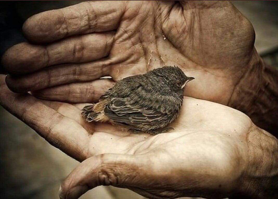 أنت ﻻ تعلم إلى أي درجة .. الله رحيم بك 
لا تعلم كيف يسخر لك الأشخاص .. الأرواح .. الأحداث .. الصدف .. والمفاجات 
لا تعلم كيف يصرف عنك ما تحب لشر لا تعلمه .. وكيف يقرب لك ما تكره لخير ﻻ تعلمه