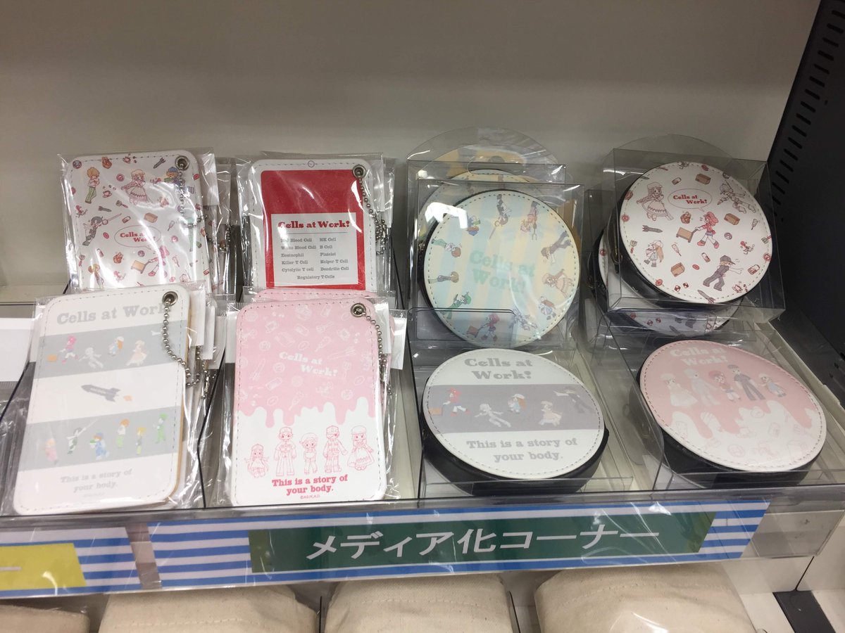 アニメイト広島 呪術廻戦 鬼滅の刃 日常組 プロセカ各種フェア開催中 グッズ情報 はたらく細胞 の レザーバッジ 丸型コインケース パスケース 手帳型スマホケース カードケース トートバッグ が発売中ヒロ 可愛い