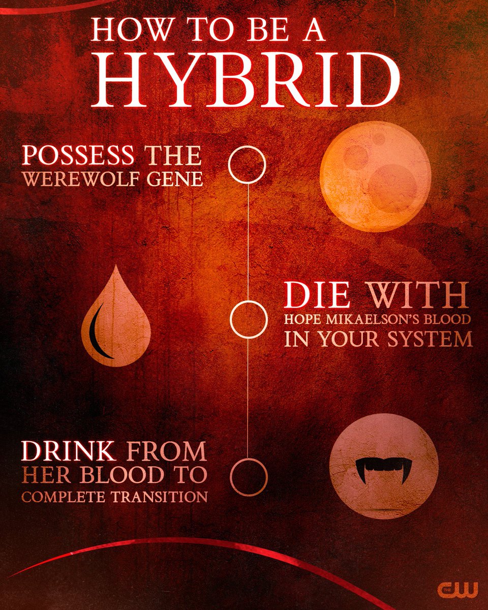 WoMysticFalls's tweet photo. Only the strongest among us can complete the process , are you one of them ? Come join the hybrid clan on https://t.co/4XsZXKj6E7 and find your destiny! #hybrid #witch #werewolf #vampire #WoMF #VampireDiaries #theoriginals https://t.co/fj65h3zhy6