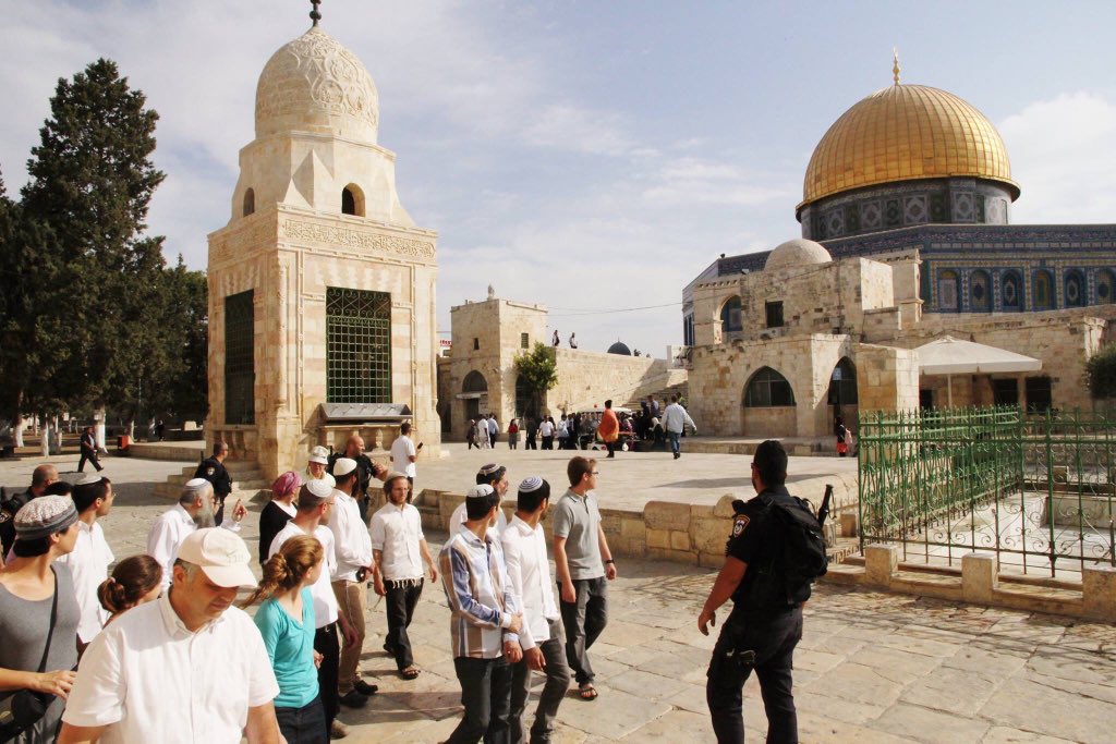  #IsraeliSettlers call for a series of large-scale incursions  #المسجد_الأقصى into the holy city of Al-Quds in occupied  #Jerusalem on Sunday #GroupPalestine #قروب_فلسطيني #الأقصى_في_خطر
