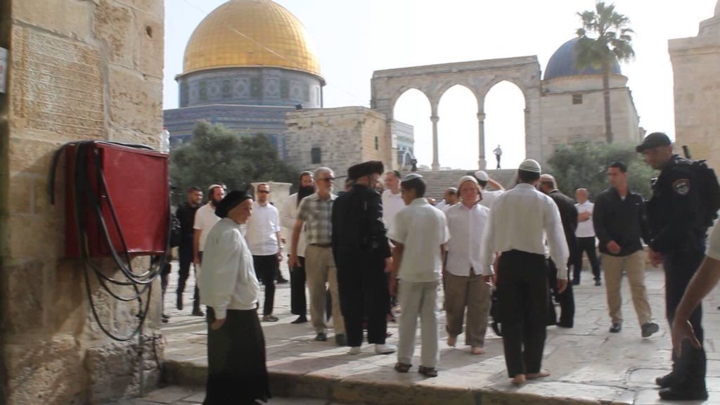  #IsraeliSettlers call for a series of large-scale incursions  #المسجد_الأقصى into the holy city of Al-Quds in occupied  #Jerusalem on Sunday #GroupPalestine #قروب_فلسطيني #الأقصى_في_خطر