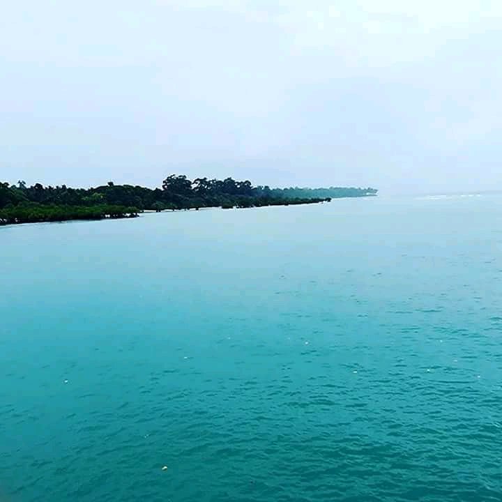 Payel samanta (@payelsa81714870) on Twitter photo 