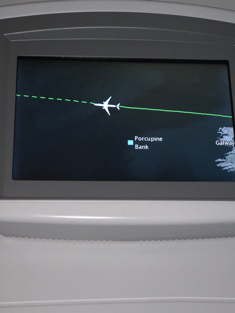 I’m on a plane but I’ve learnt where spiky animals save their money