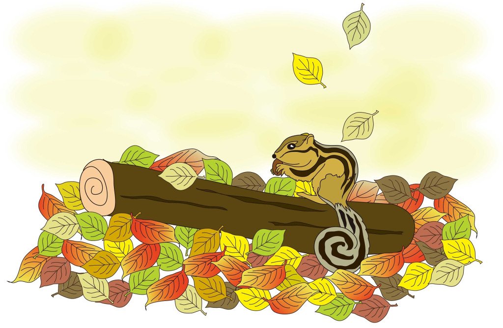 SWTIndies's tweet photo. Family-Friendly Friday: Fall Activities Edition https://t.co/lNMHFmYZpT https://t.co/1mKh2vLovt