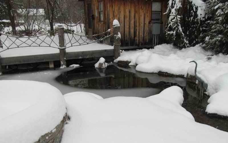 Tomorrow’s the day! Learn how to Prepare your Pond for Winter 🍁  🐟 ❄  🐠  ⛄ - eepurl.com/dHQhnP