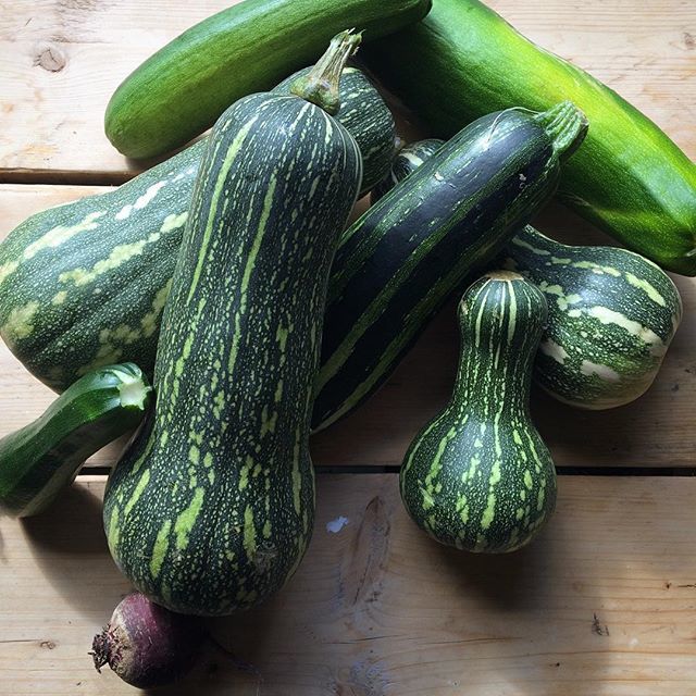 Big thanks to lovely Laura for donating all these green goodies! We’ll be chopping for a while 💚 ift.tt/2xGu6PN