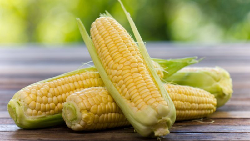 Parlimag's tweet image. European #Biotechweek 2018: 7 days showcasing creativity, passion and expertise in transformative technology bit.ly/2PT5Y48 @EuropaBio