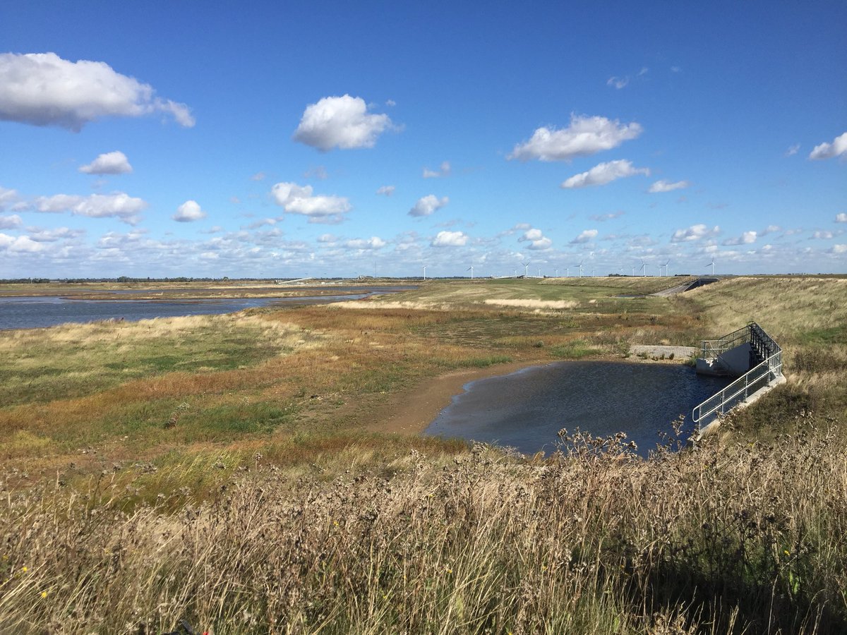 LauraABliss's tweet photo. Great to be at #Wallasea today to celebrate the completion of engineering work and habitat creation @Natures_Voice  @RSPBEssex #nature #wildlife #offgrid #birds https://t.co/fyuEcbcFPv