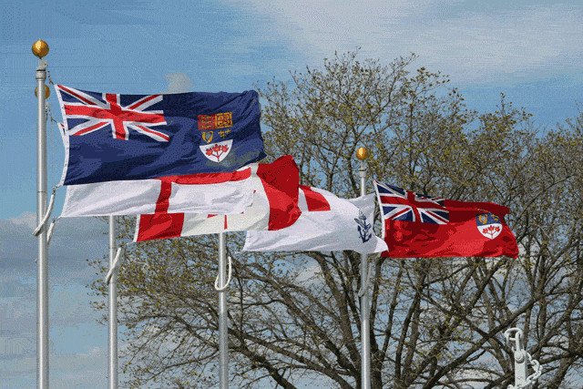 Strong Winds For Windsor & Essex County, Friday sta.cr/33SL2 https://t.co/VX07NyVUDq