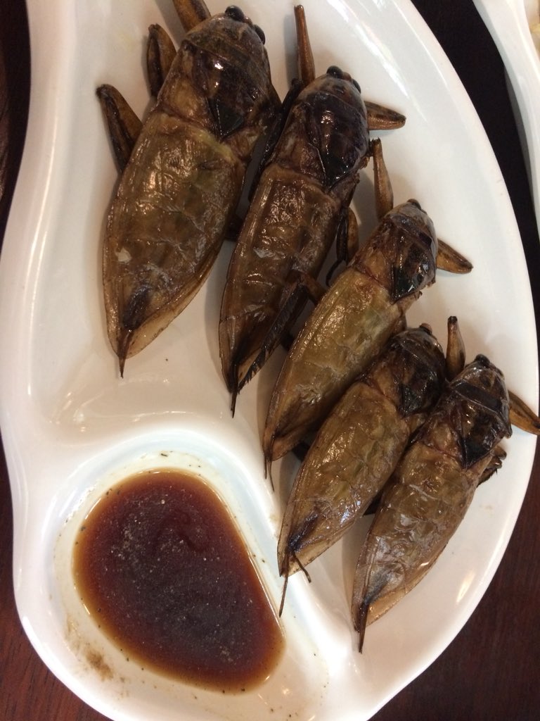 Peron Yasu Sur Twitter 食文化への発展を願うbkk郊外の行きつけレストランにて昆虫食会議 タガメに竹虫 蜂の子 ツムギアリ 黒雀蜂の幼虫と前踊 高級珍味 超美味しい立派な食材が安価で ครกไม ไทยลาว อาหารแมลง โปรต นส ง ชอบอาหารแมลง 昆虫食 昆虫料理