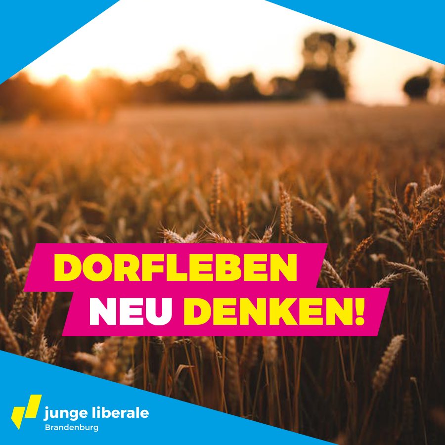 JuLiBrandenburg's tweet photo. Inwiefern können Dörfer und auch Kleinstädte wieder interessant für jede Generation werden? Das erklärt unser Landesvorsitzender Matti Karstedt in unserer neusten Pressemitteilung.🌻👉🏽https://t.co/fVN6dIzU9o https://t.co/KPranOWPfs
