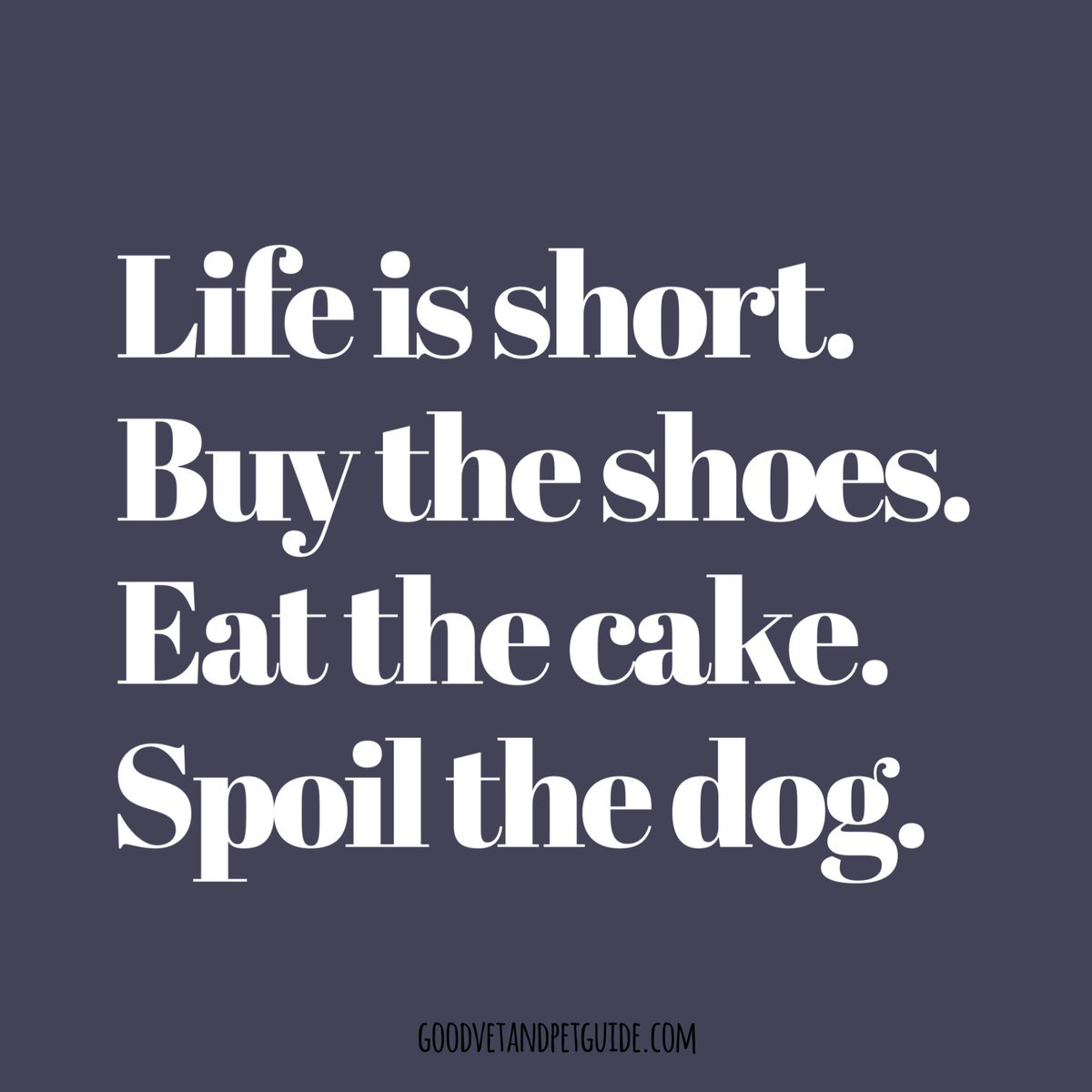 GoodVetPetGuide's tweet photo. #ff #followfriday 
@bigpawsco 
@FoscottsFriends 
@SuperNaturePet 
@_differentdog 
@GeorgeBarclayUK 
@GenconAllin1 
@scamperspets
@gsrescueelite @Phoenixfbrescue @SurePetcare
@BarkingBlondes 
@BizWonderland 
@dogownersuk 
@GreyhoundGirl07 
@HolidaysOak 
@BDBCo 

#dogs
#Priorities https://t.co/EKu6MXNHzA