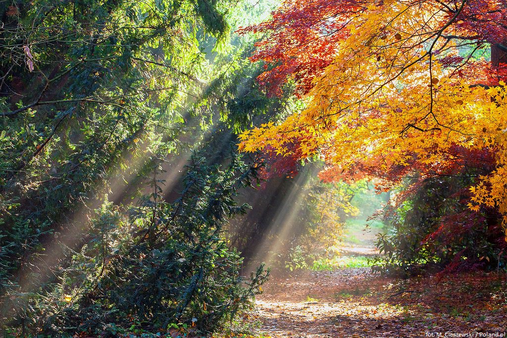 Hello #Autumn. 👋

Welcome to #Poland. 🇵🇱