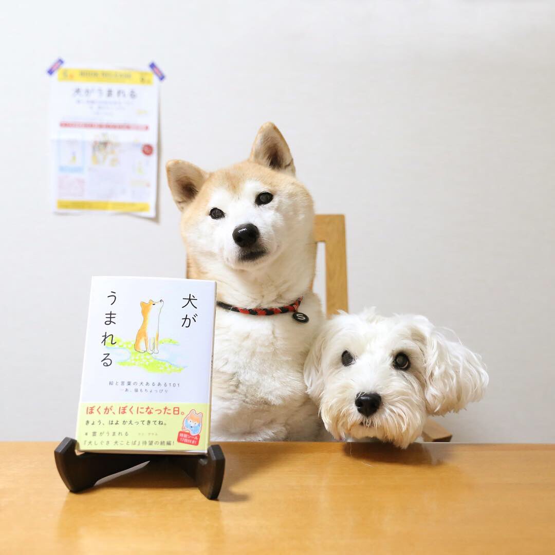 くもといっしょに